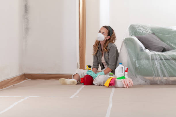 Reliable Mold Remediation contractor in Frisco, TX by WQB Mold Removal